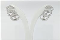 Boucles d'oreilles Crivelli Femme in Or blanc Diamante 117-OR875